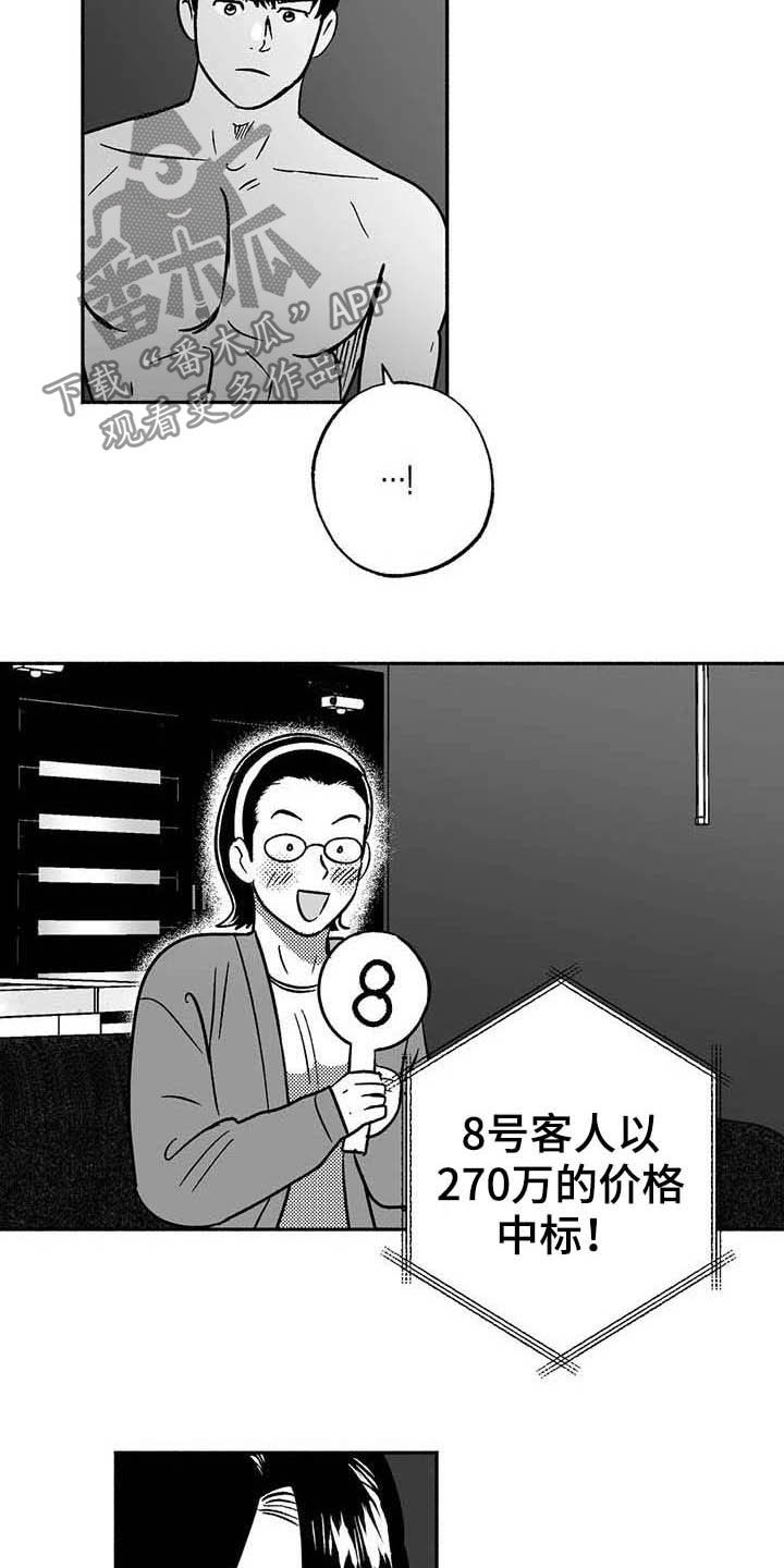 第38章：陪衬10