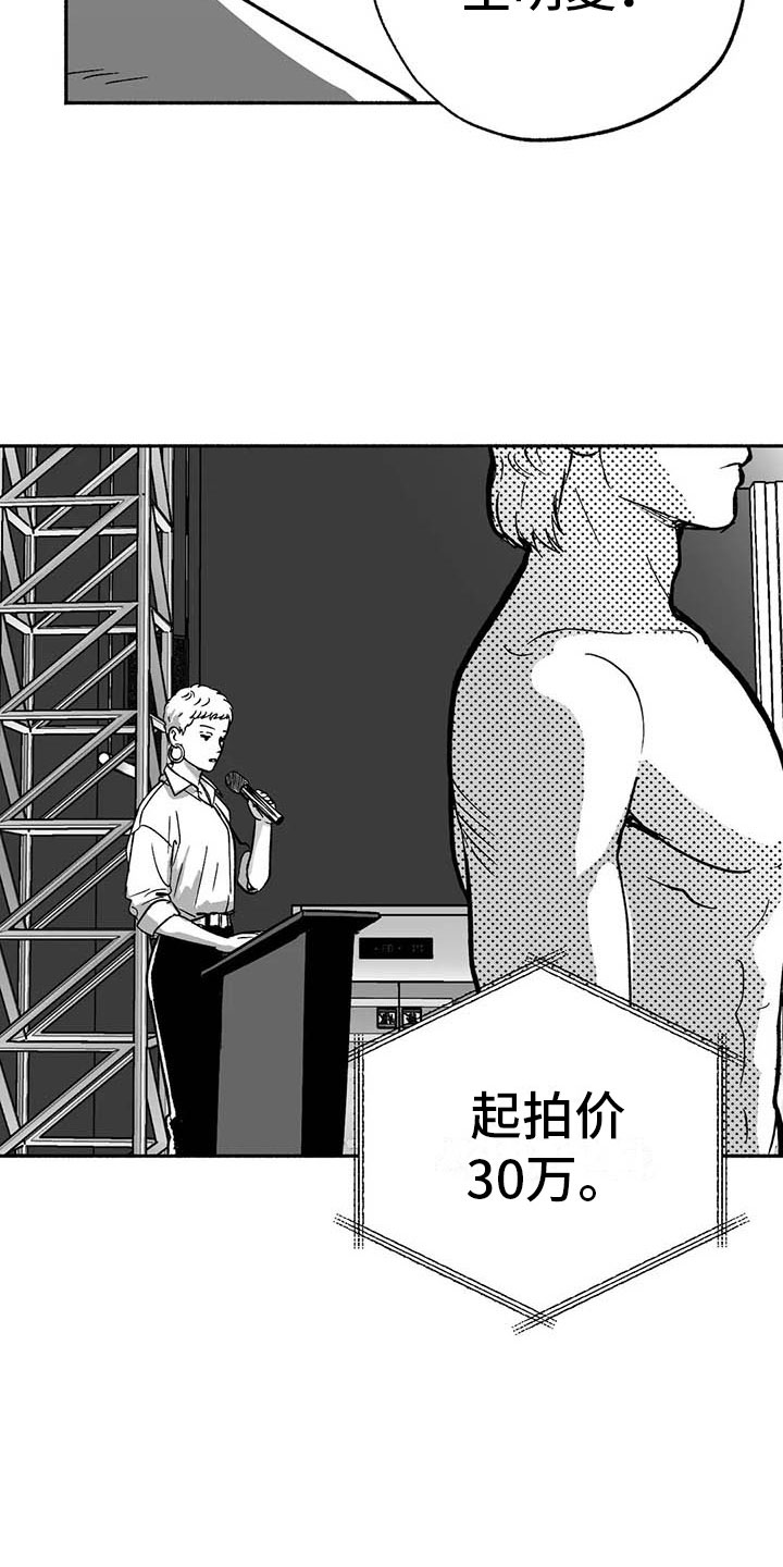 第16章：把号码给我14