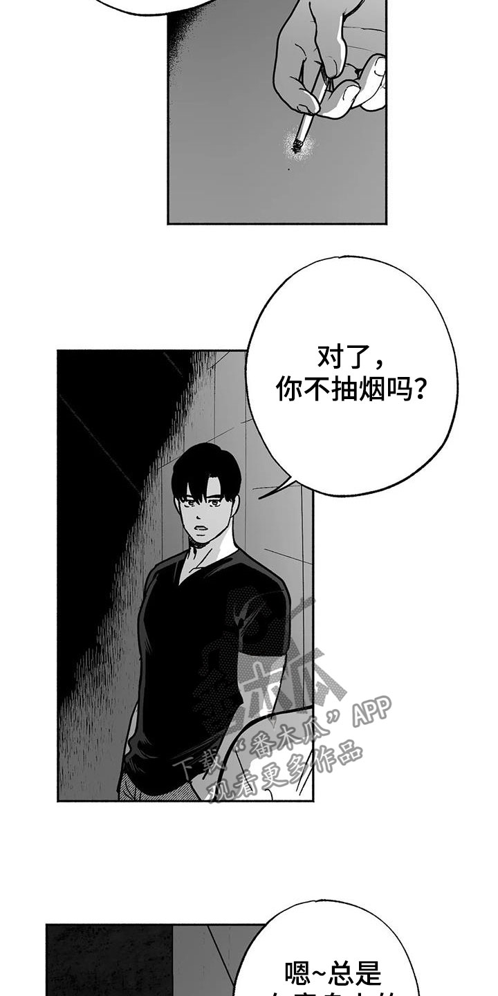 第33章：新客人9