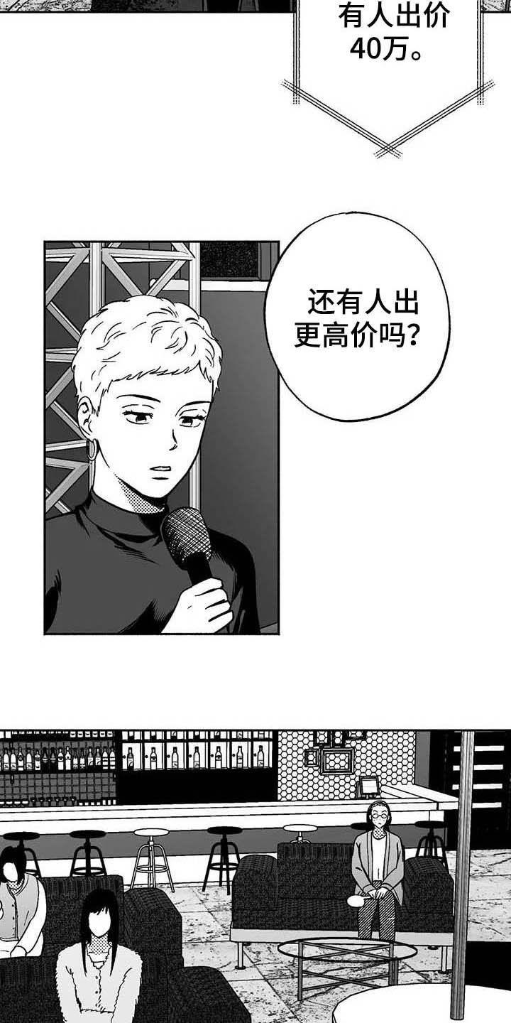 第38章：陪衬3