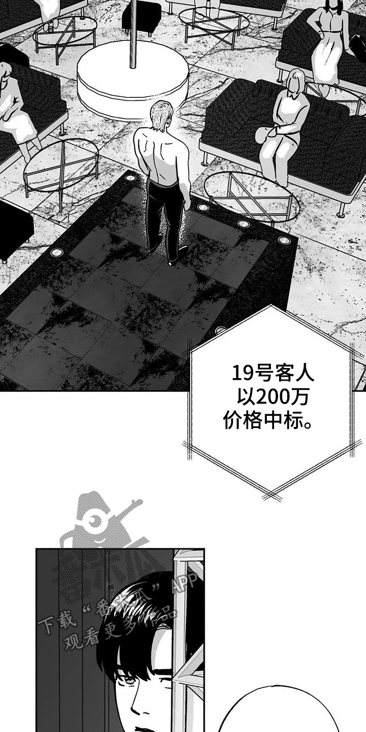 第33章：新客人13
