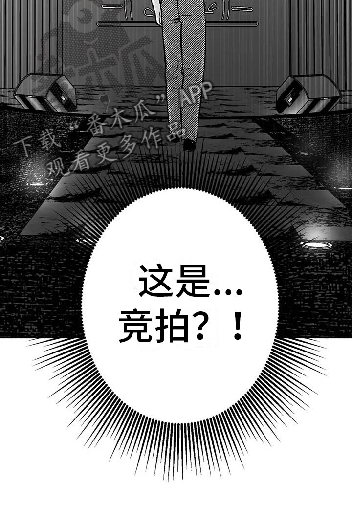 第14章：第二场节目27
