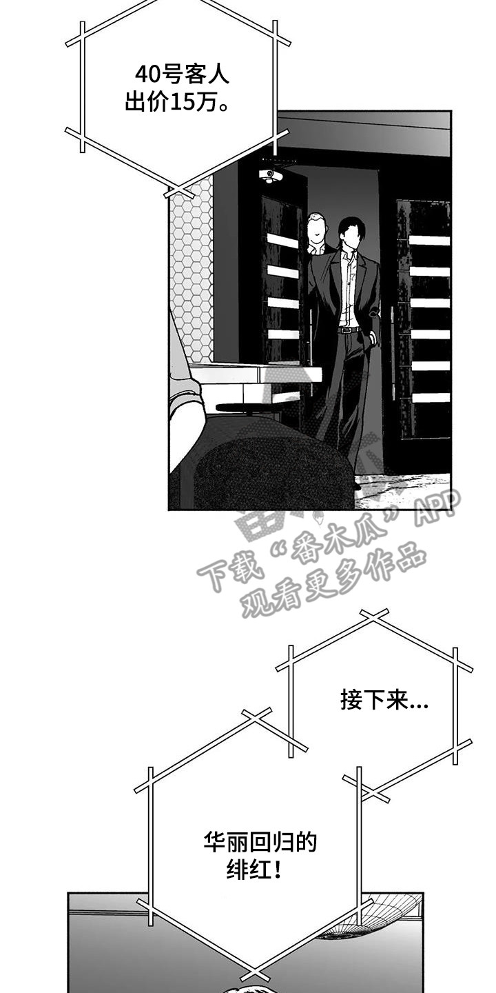 第66章：出价7