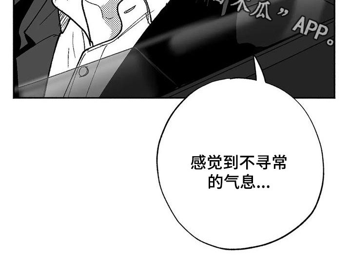 第65章：回归16