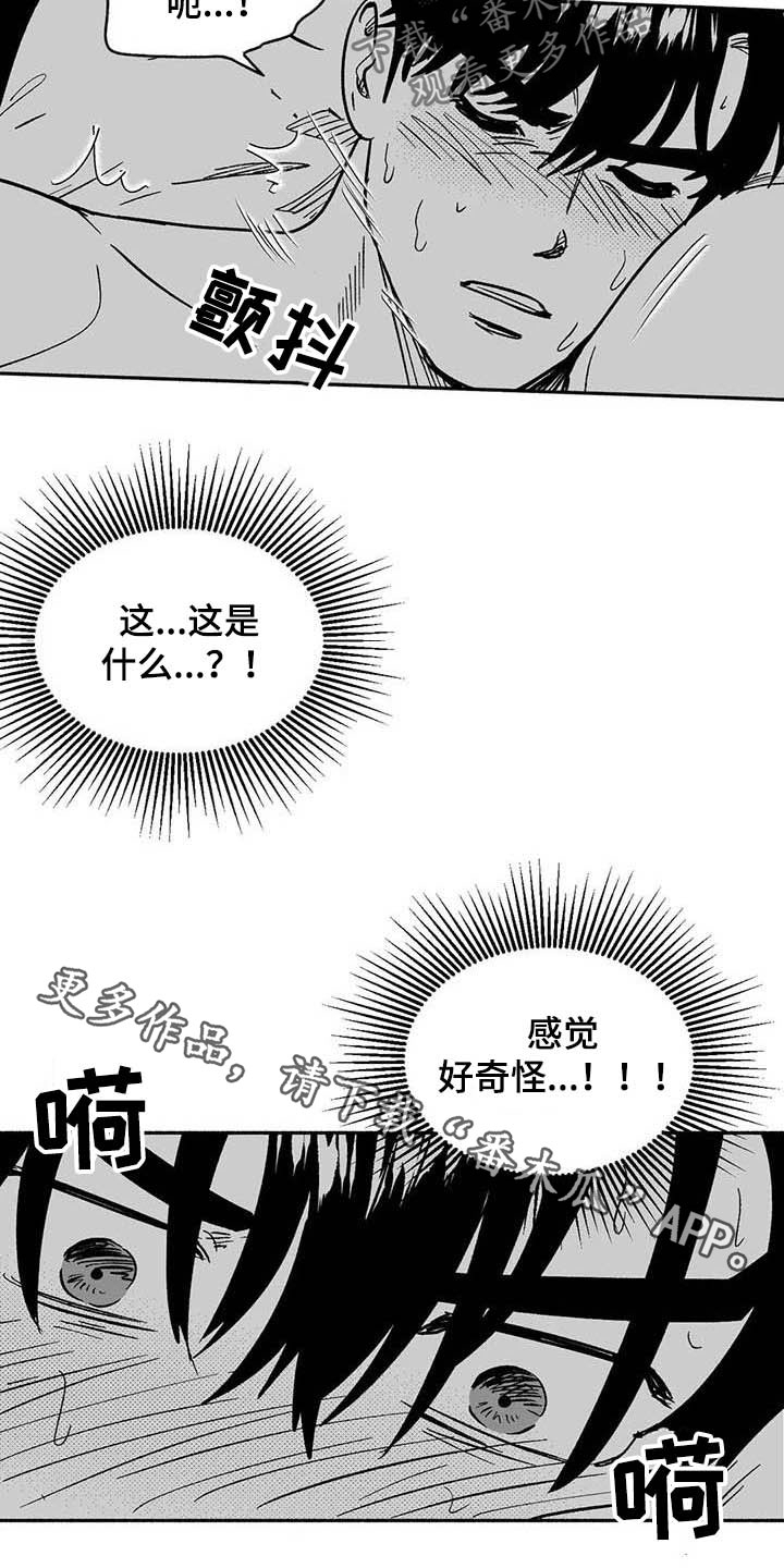第35章：标本19
