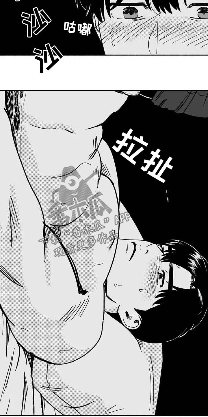 第35章：标本17