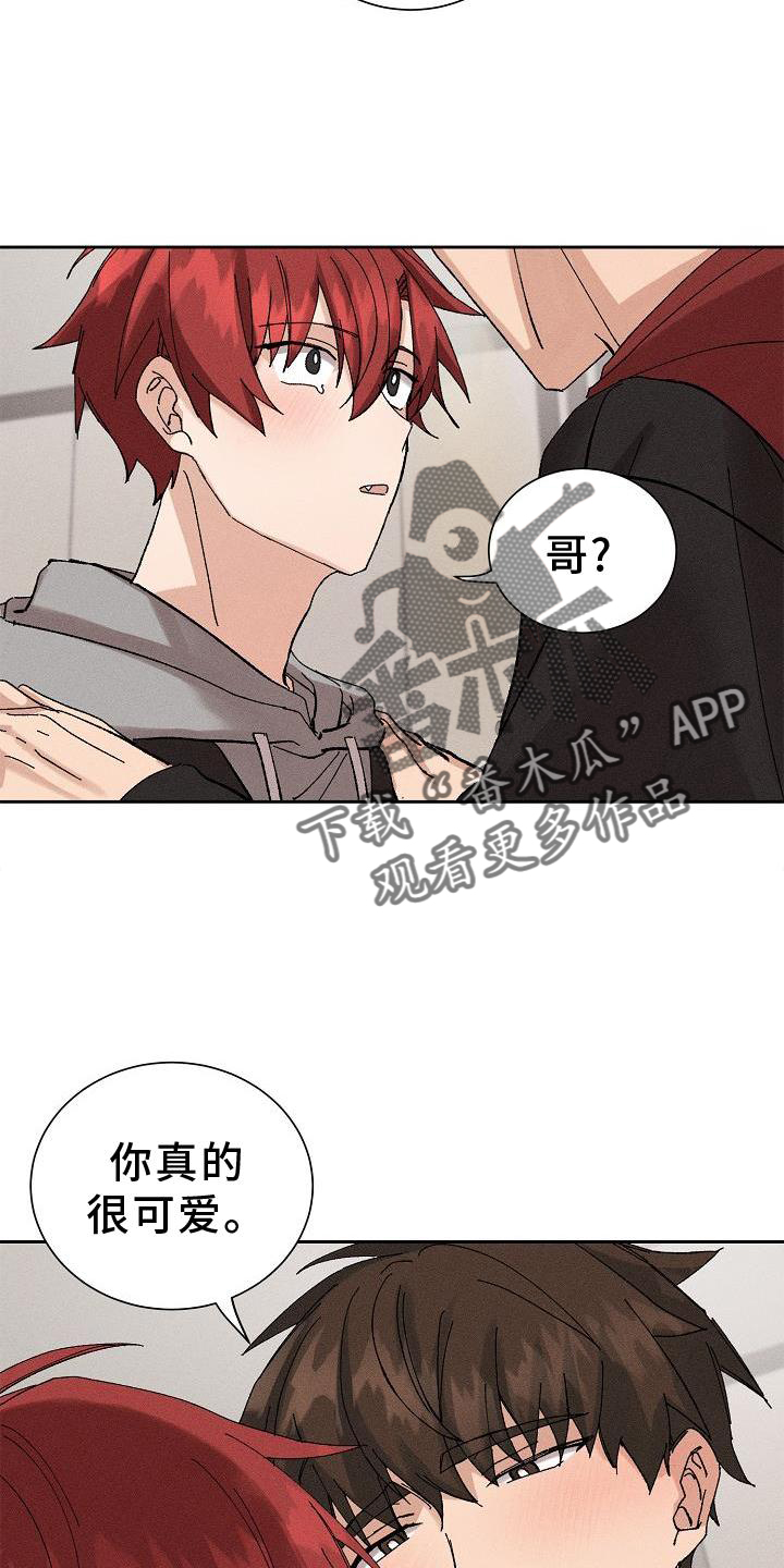 第22章：成熟14
