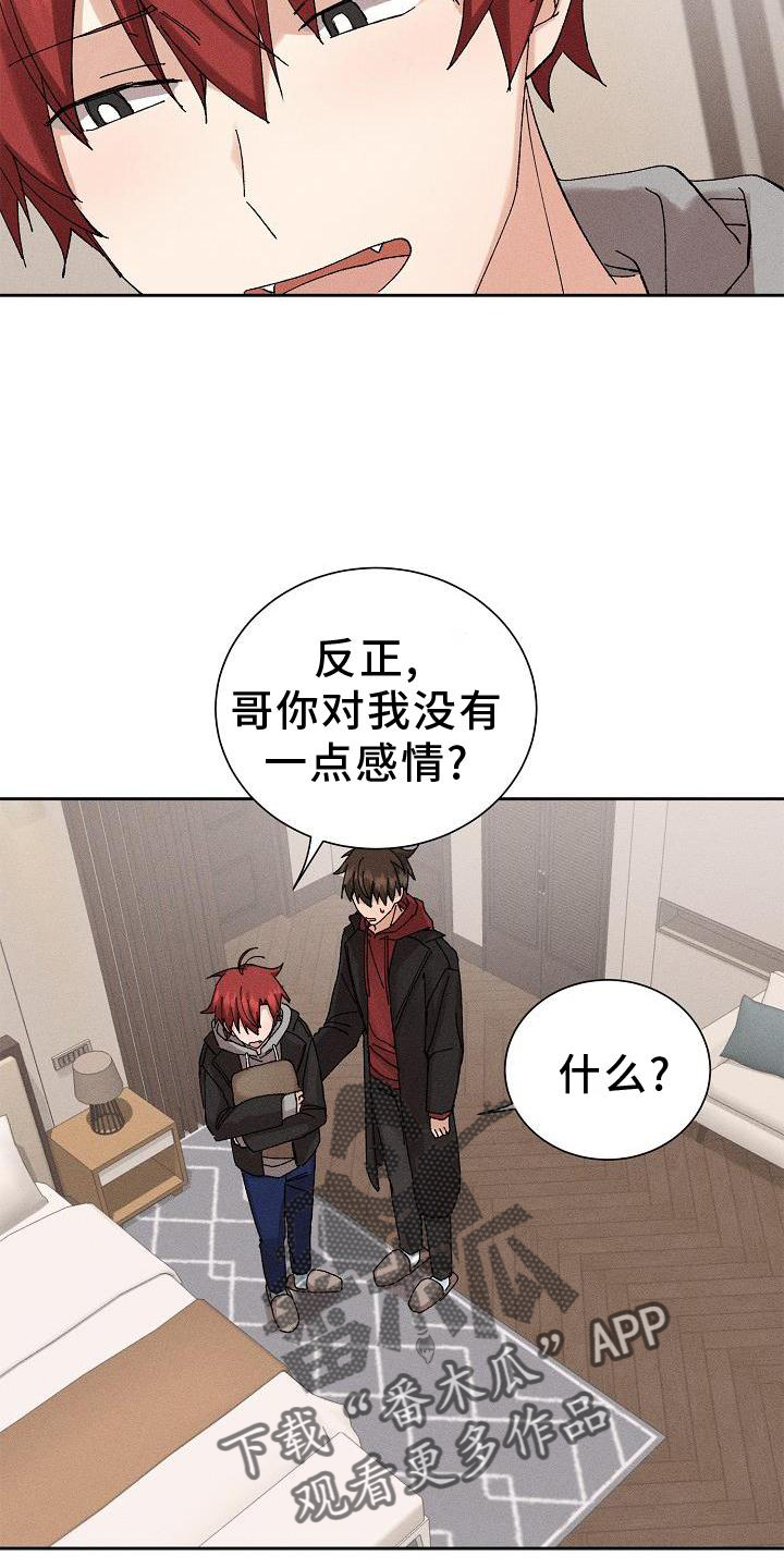 第22章：成熟4