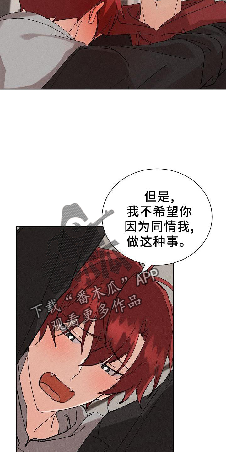 第22章：成熟19