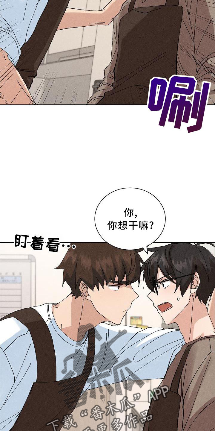 第13章：可爱11