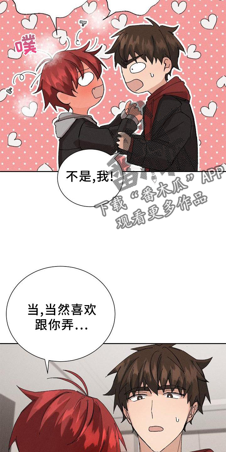 第22章：成熟18