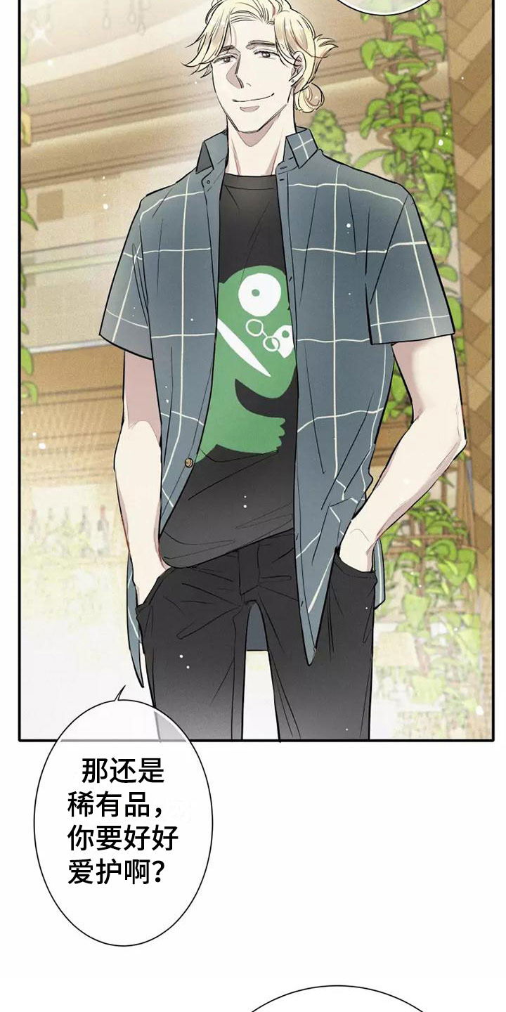 第6章：压力5