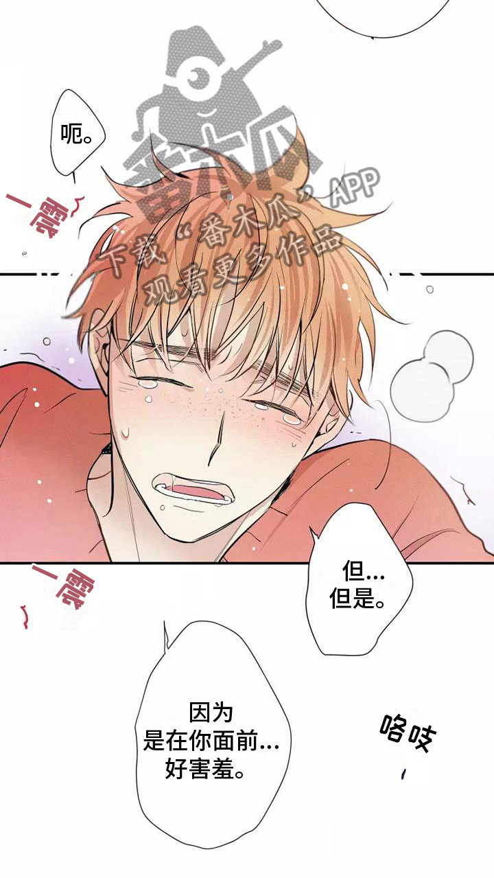 第18章：偷吻13