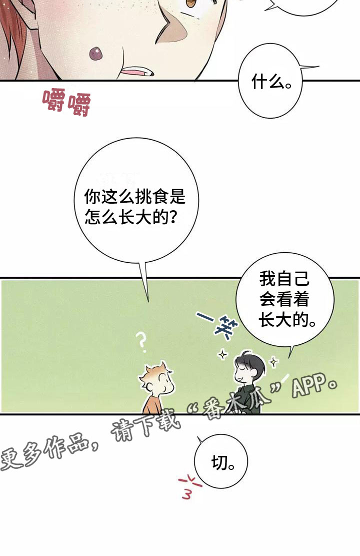 第16章：西餐24