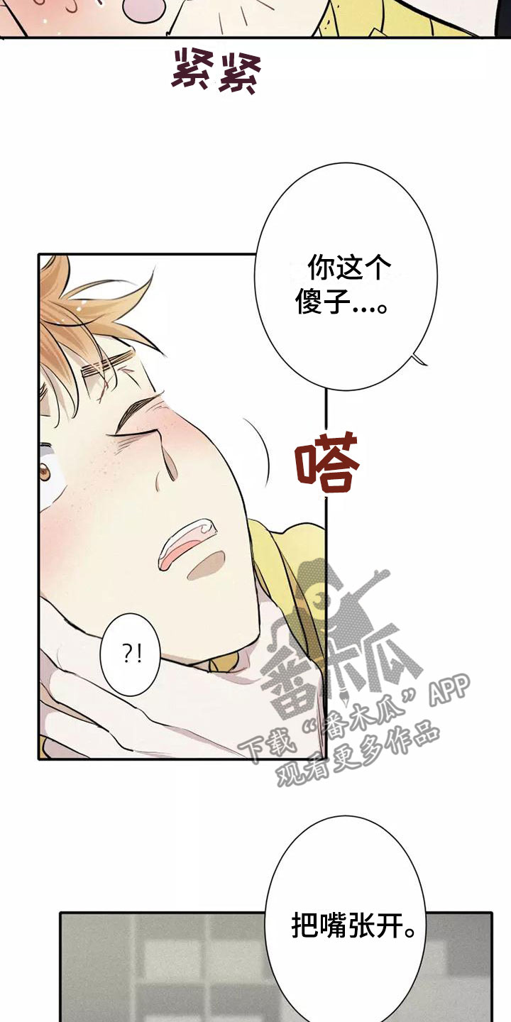 第5章： 初吻3