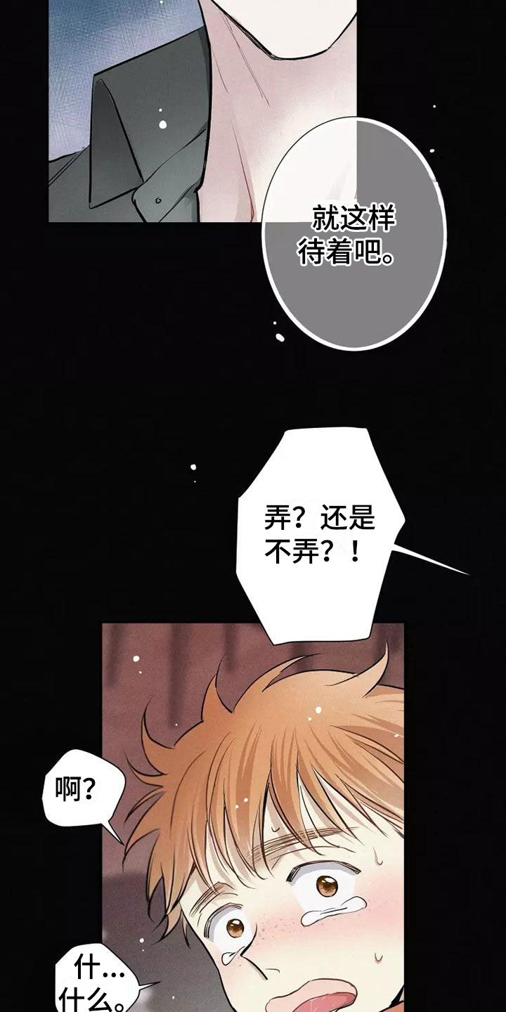 第19章：不知所措8