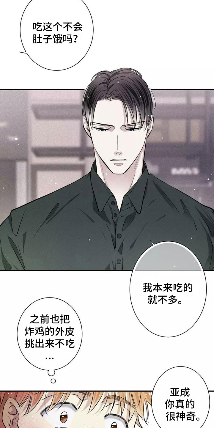 第16章：西餐23