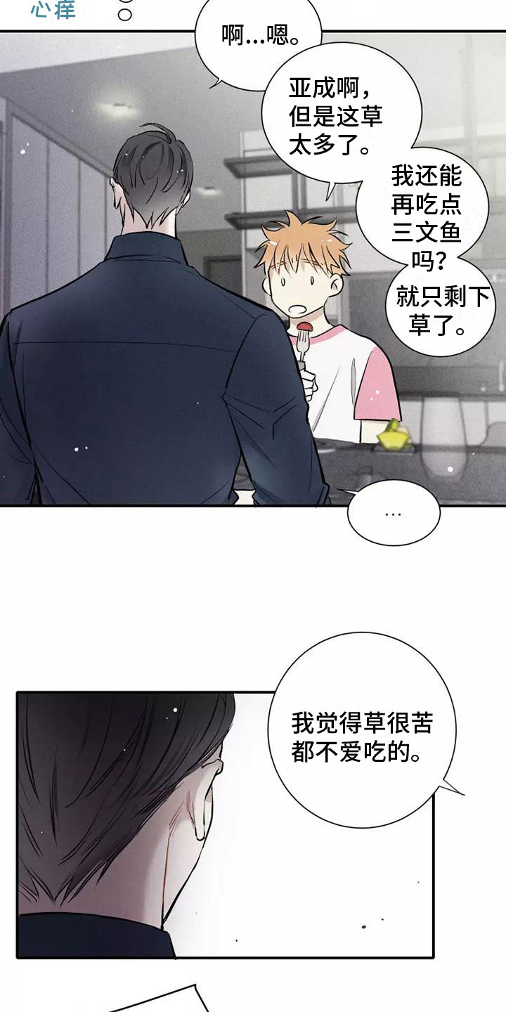 第15章：习惯4