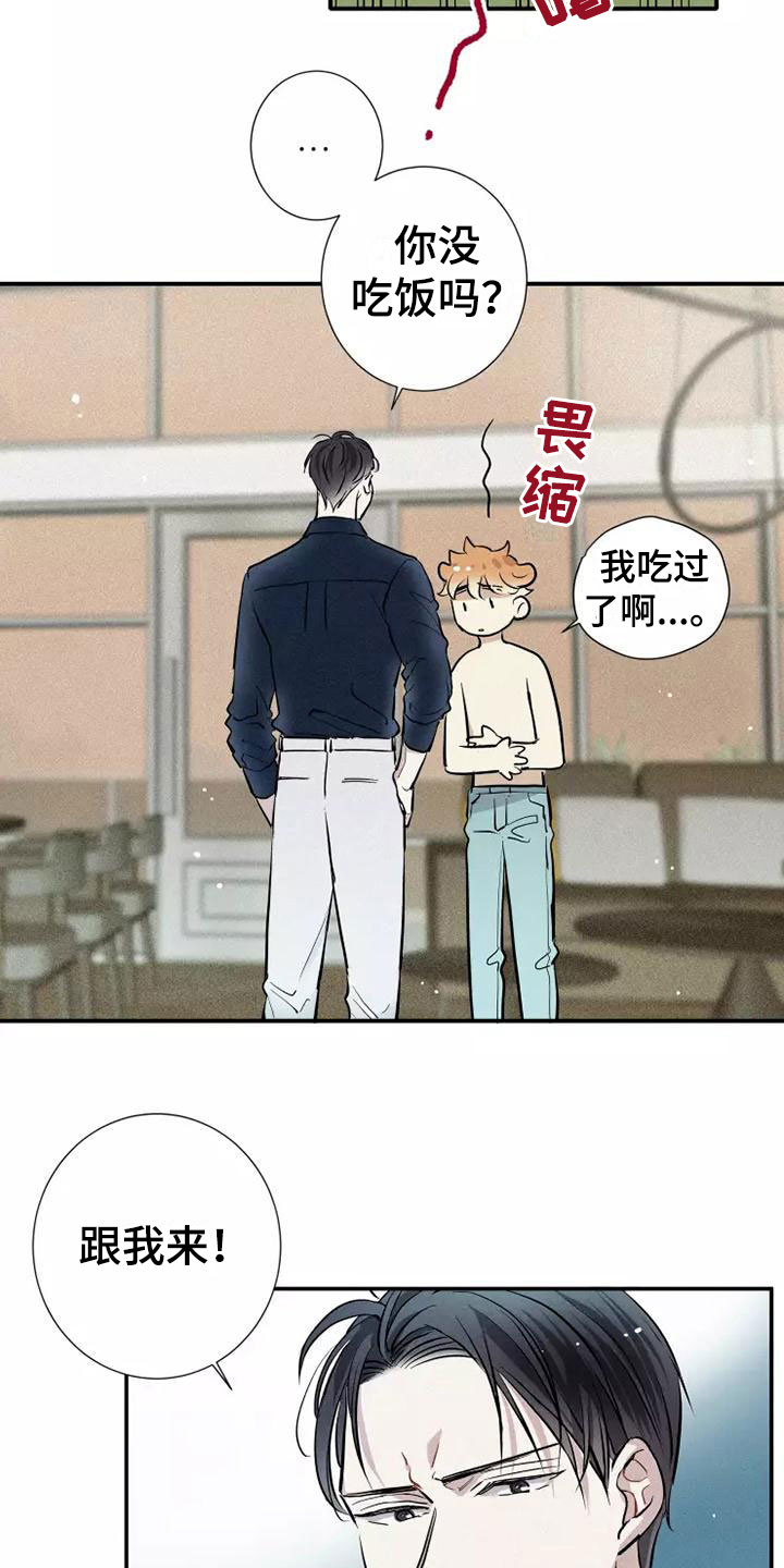 第14章：打破规律21