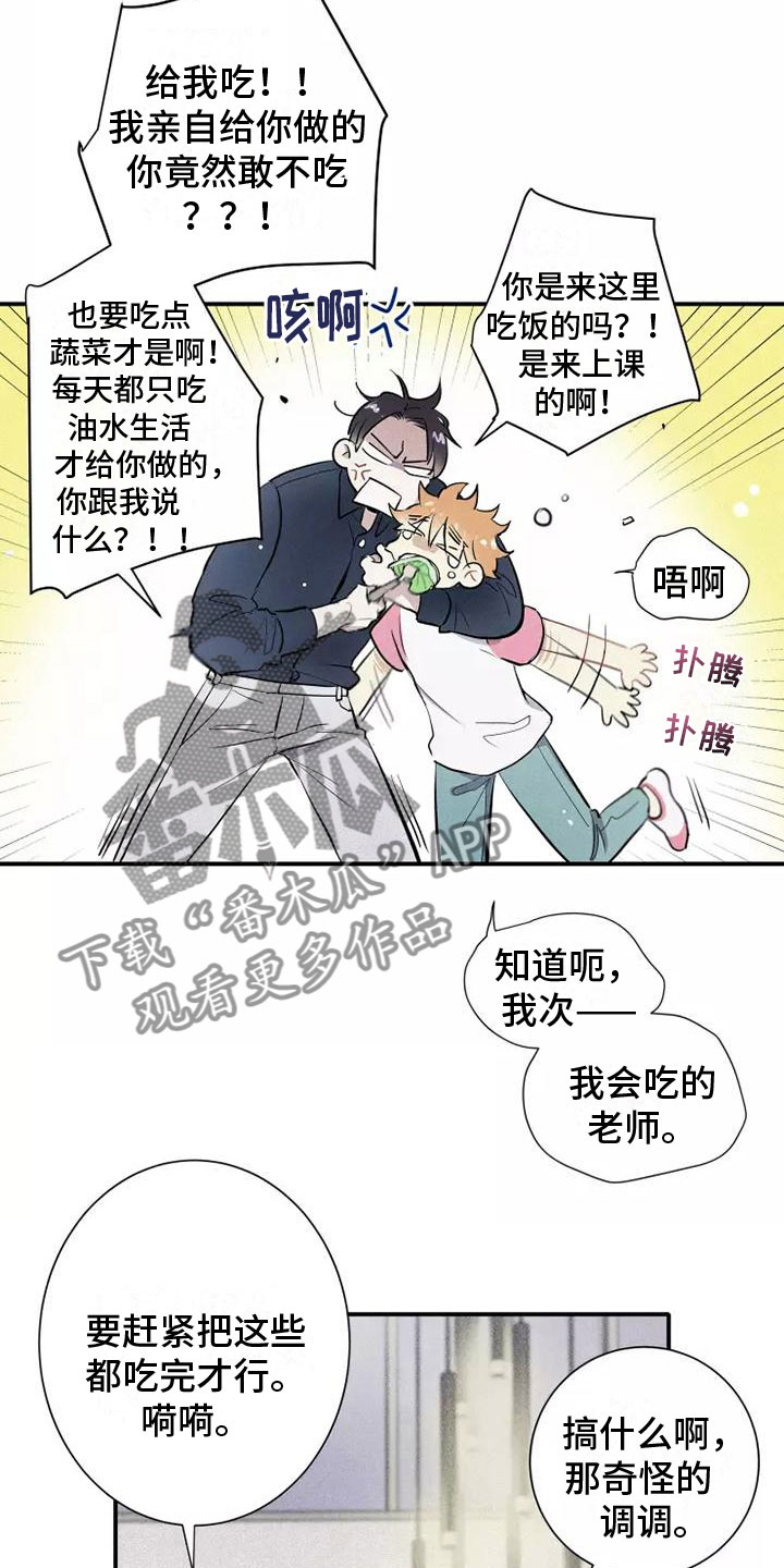 第15章：习惯5