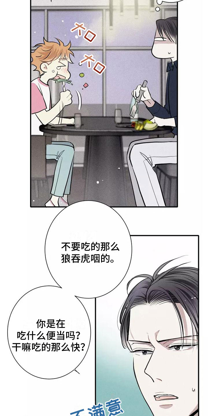 第15章：习惯6