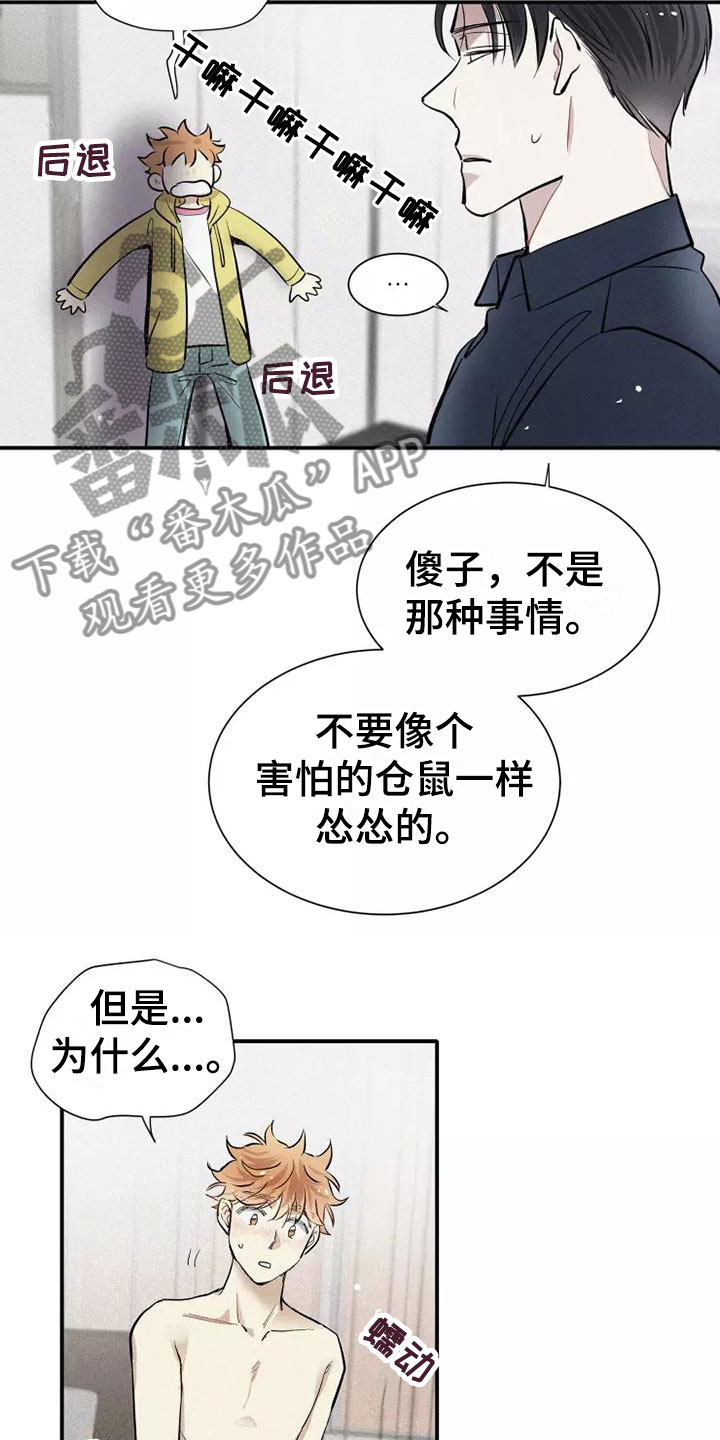 第14章：打破规律7