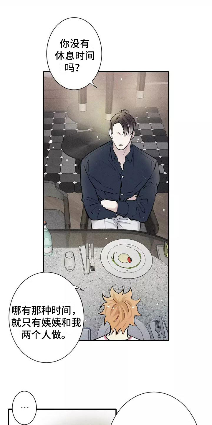 第15章：习惯10