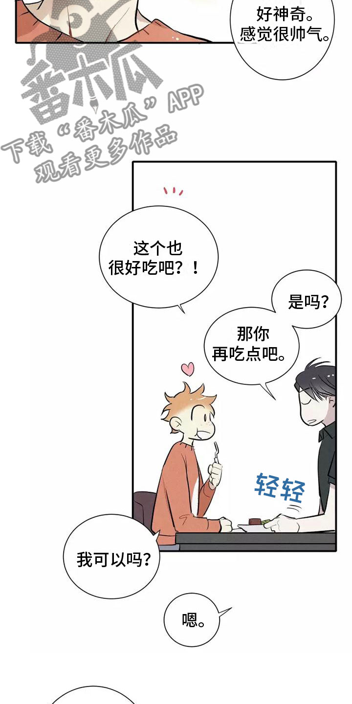 第16章：西餐22