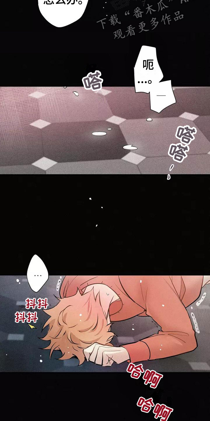 第19章：不知所措16