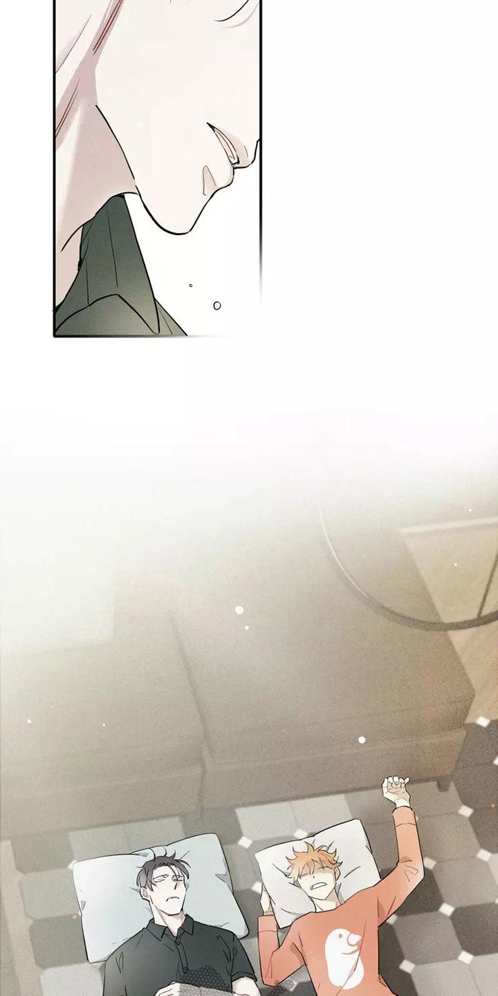 第17章：心动12