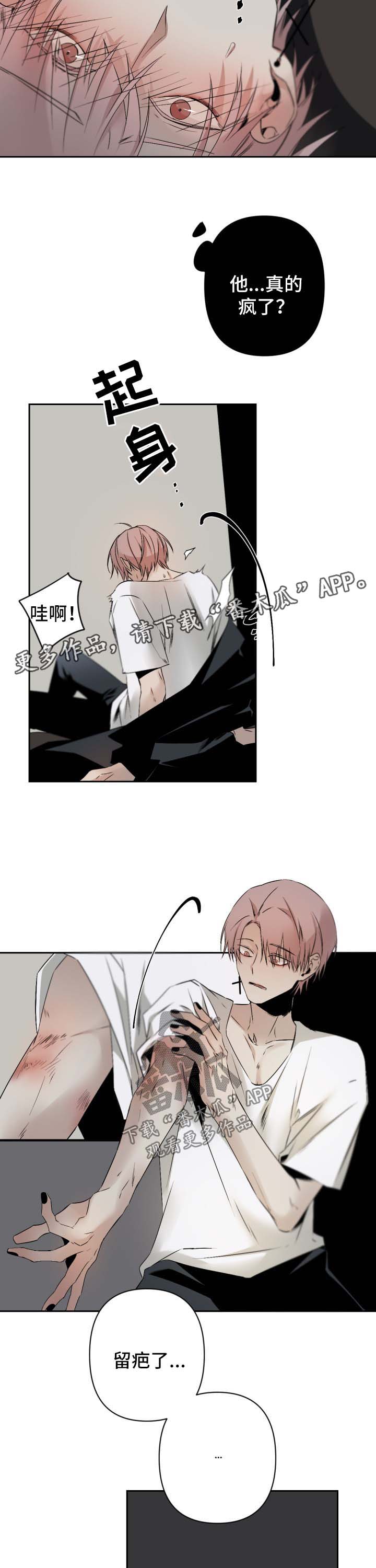 第106章：别矫情8