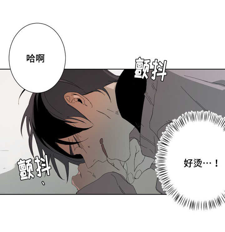 第11章：验收成果11