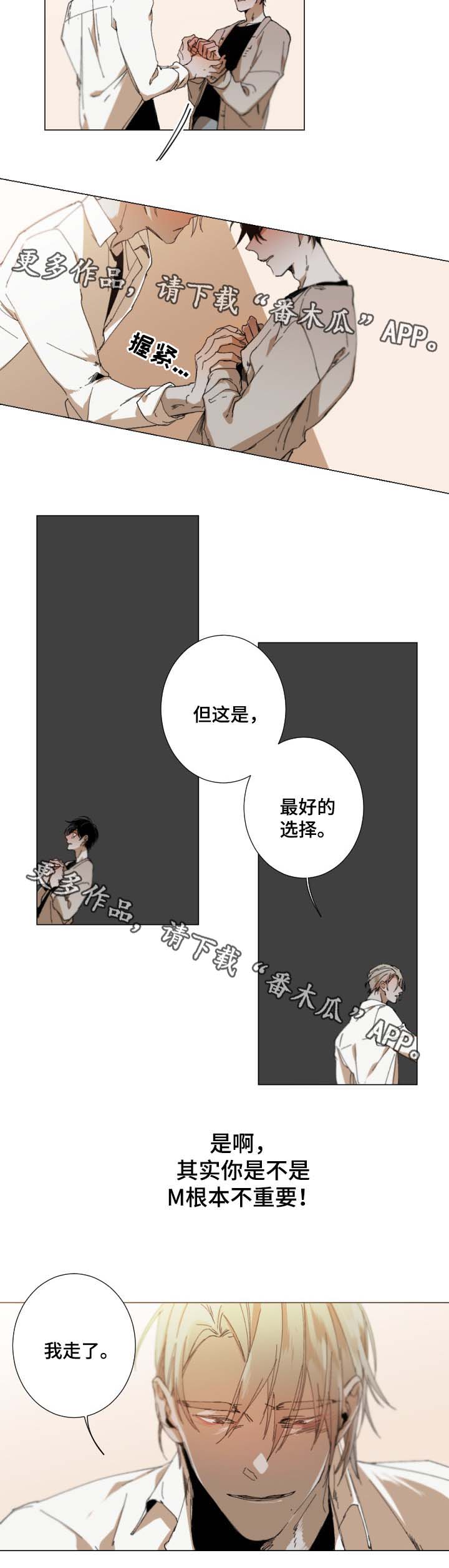 第29章：最好的选择6