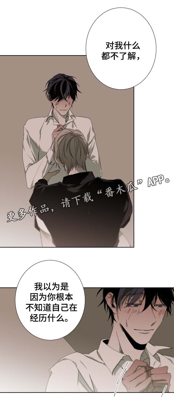 第46章：我喜欢你3