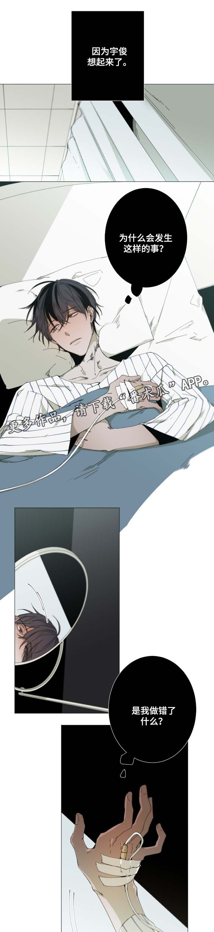 第32章：真实可笑2