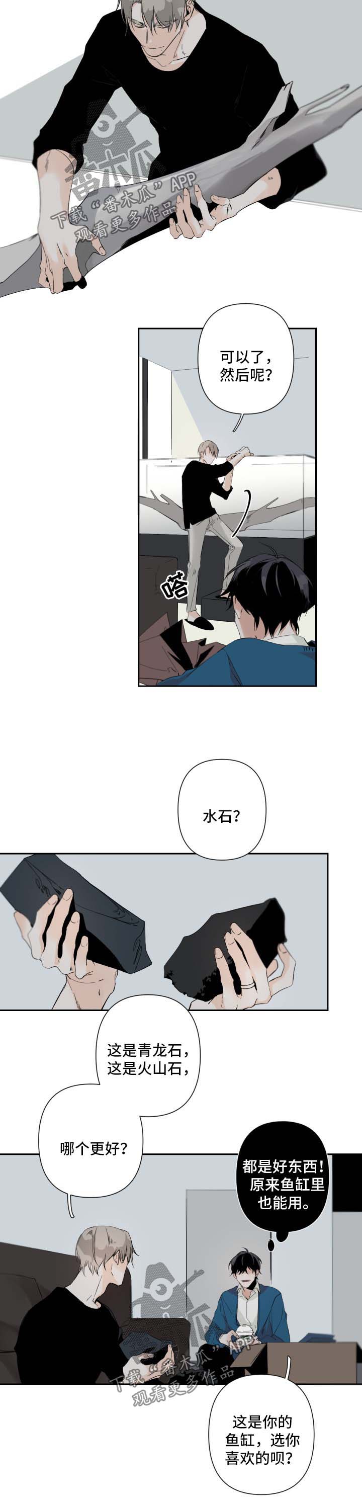 第58章：鱼缸环境8