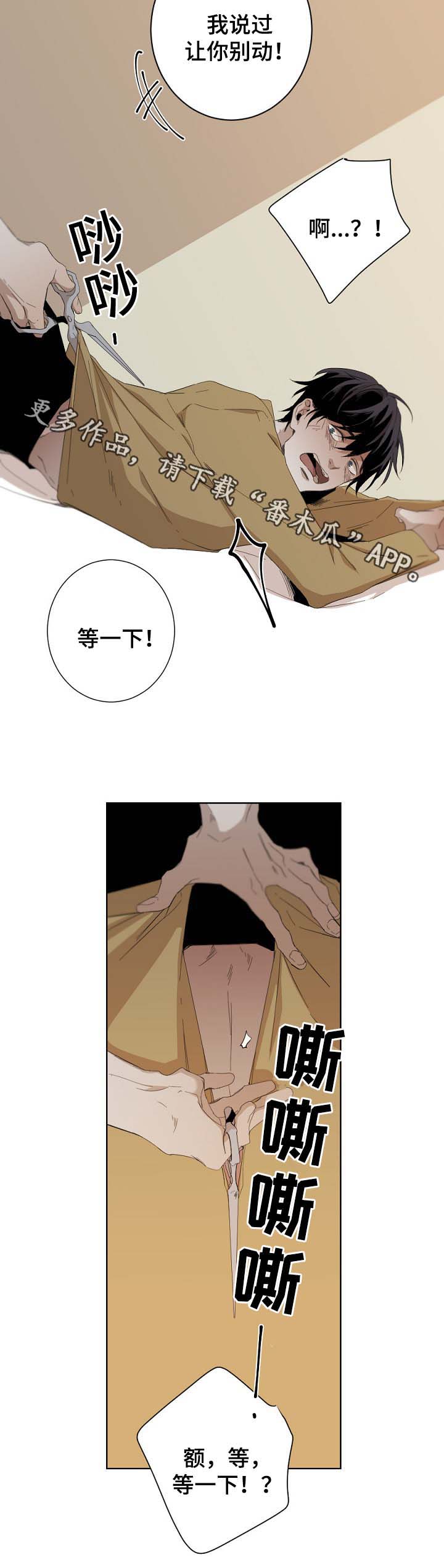 第48章：安全词5