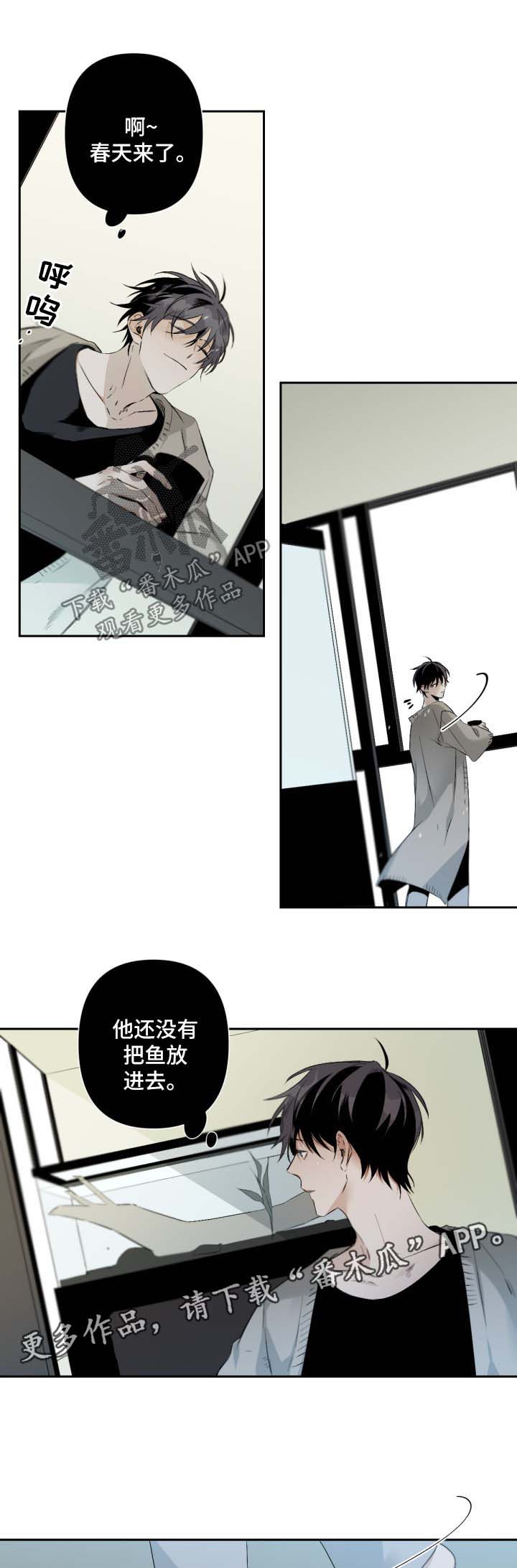 第75章：规则0