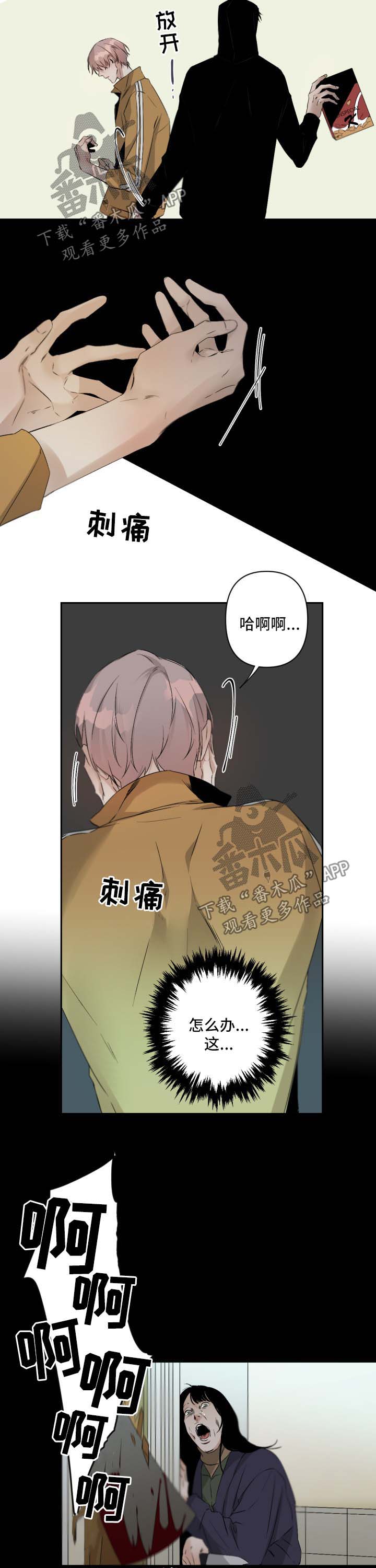 第81章：去超市8