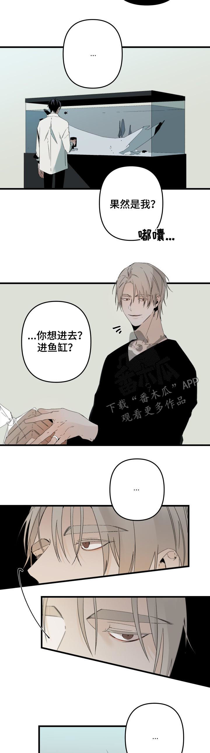 第140章：番外：你误会了1