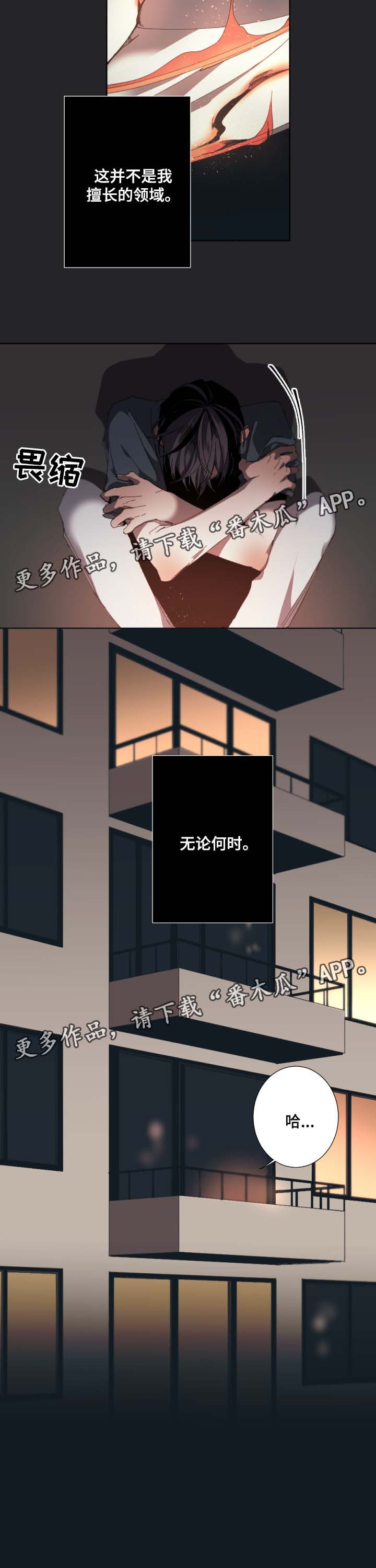 第33章：合约8