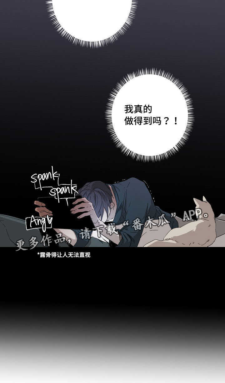 第10章：新手教程12