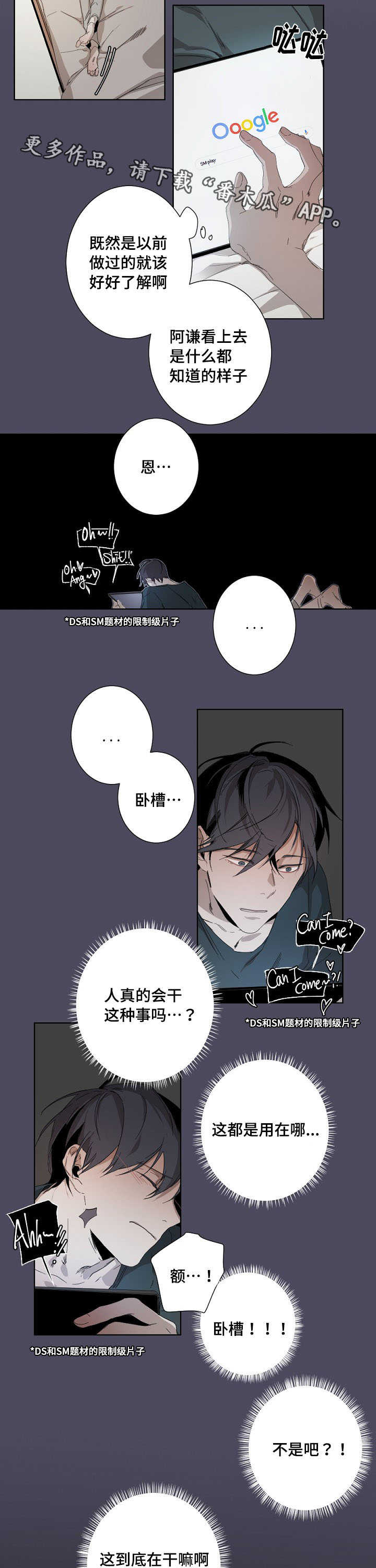 第10章：新手教程11