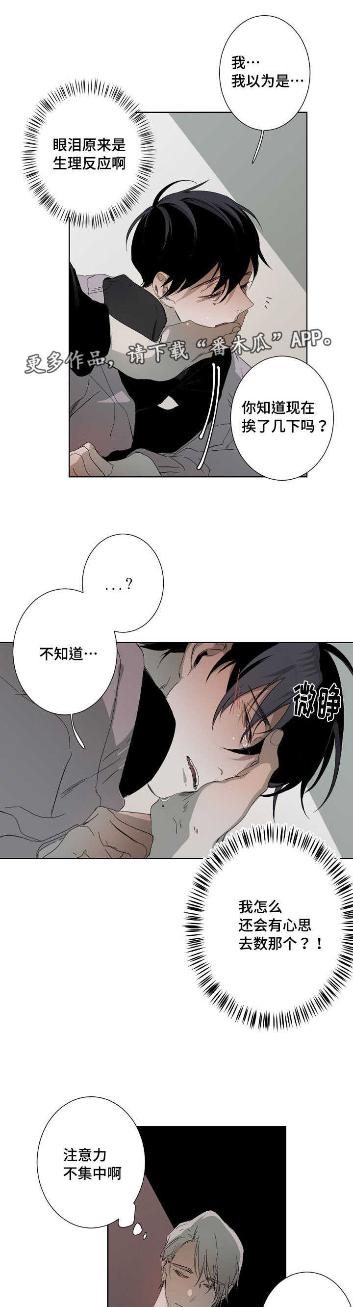 第11章：验收成果9