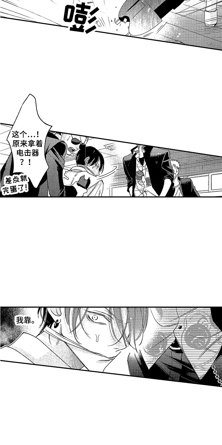 第19章：绝佳机会 13