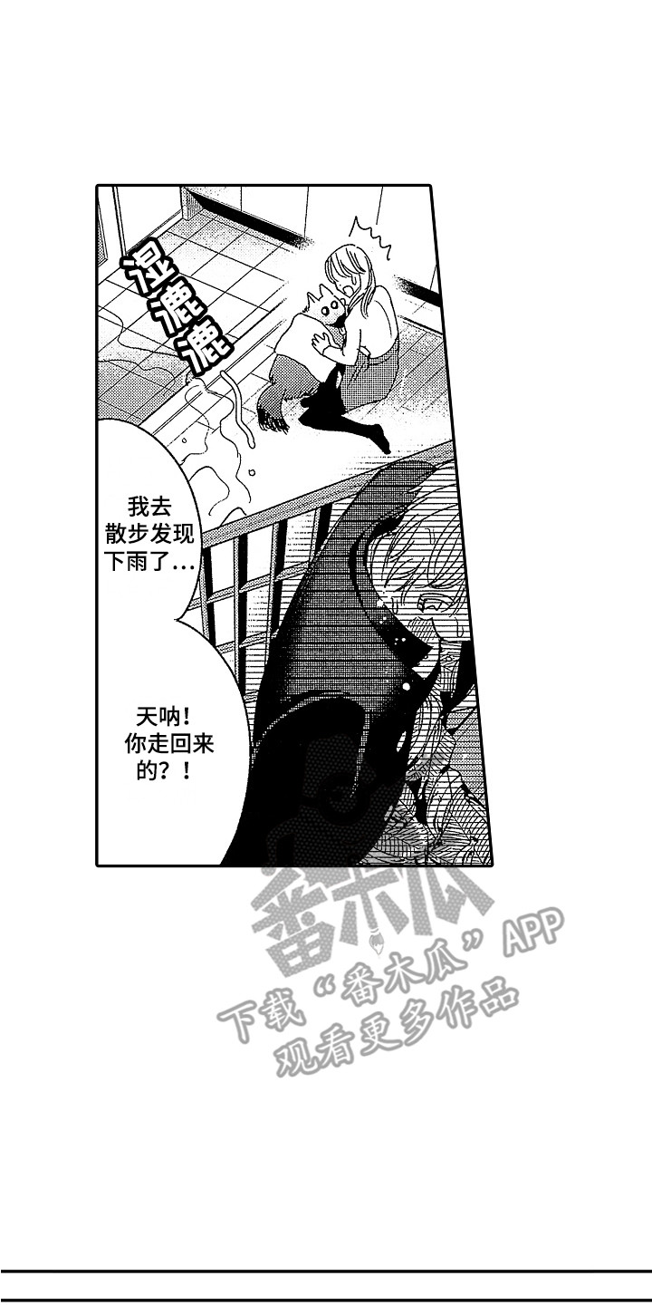 第15章：落荒而逃 6