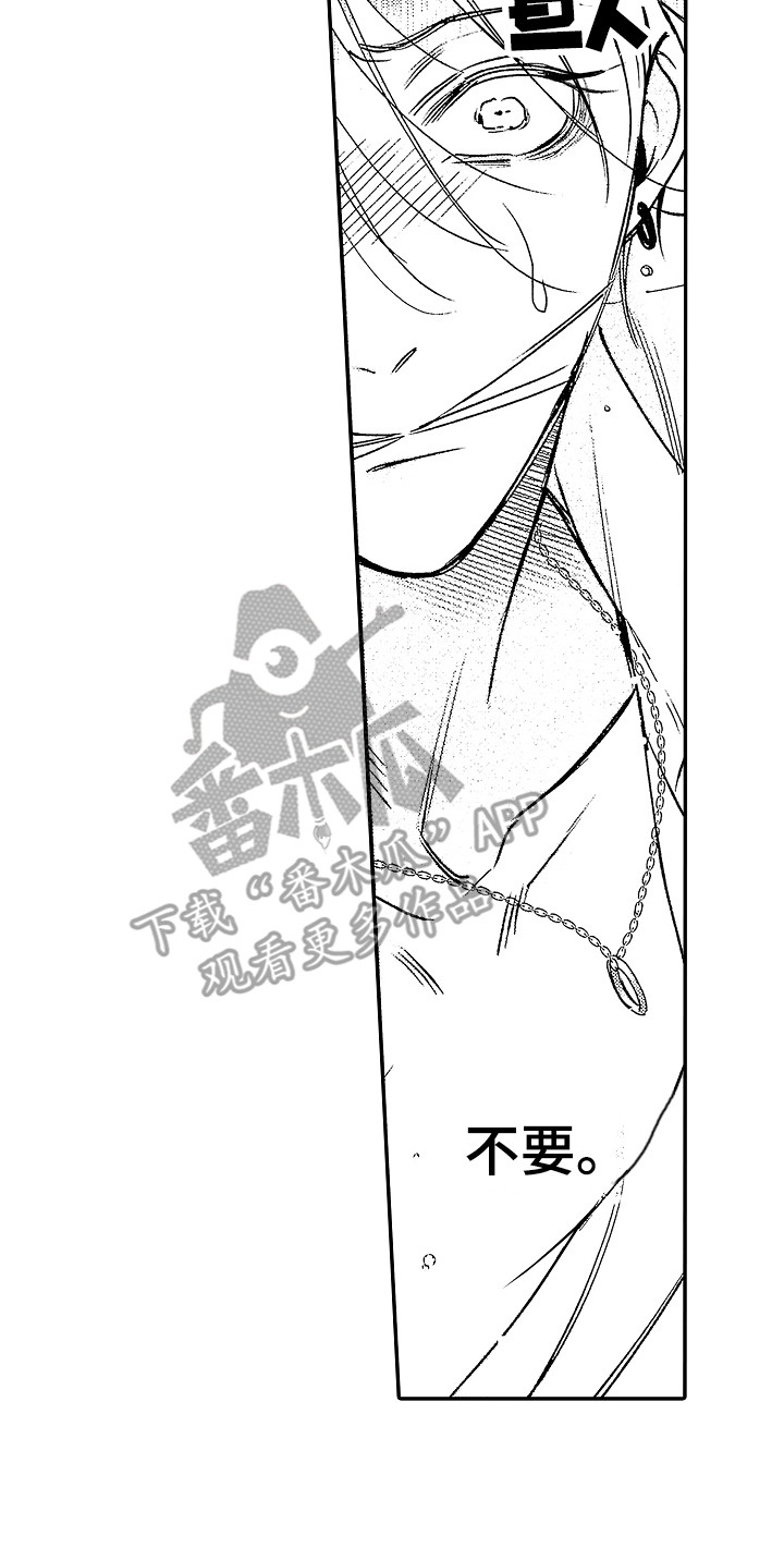 第19章：绝佳机会 15