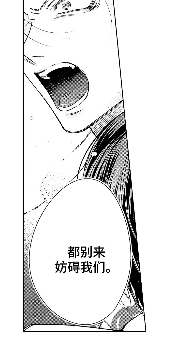 第20章：宣言15