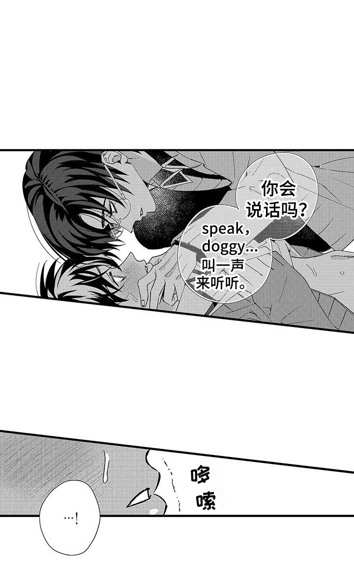 第13章：安全词20