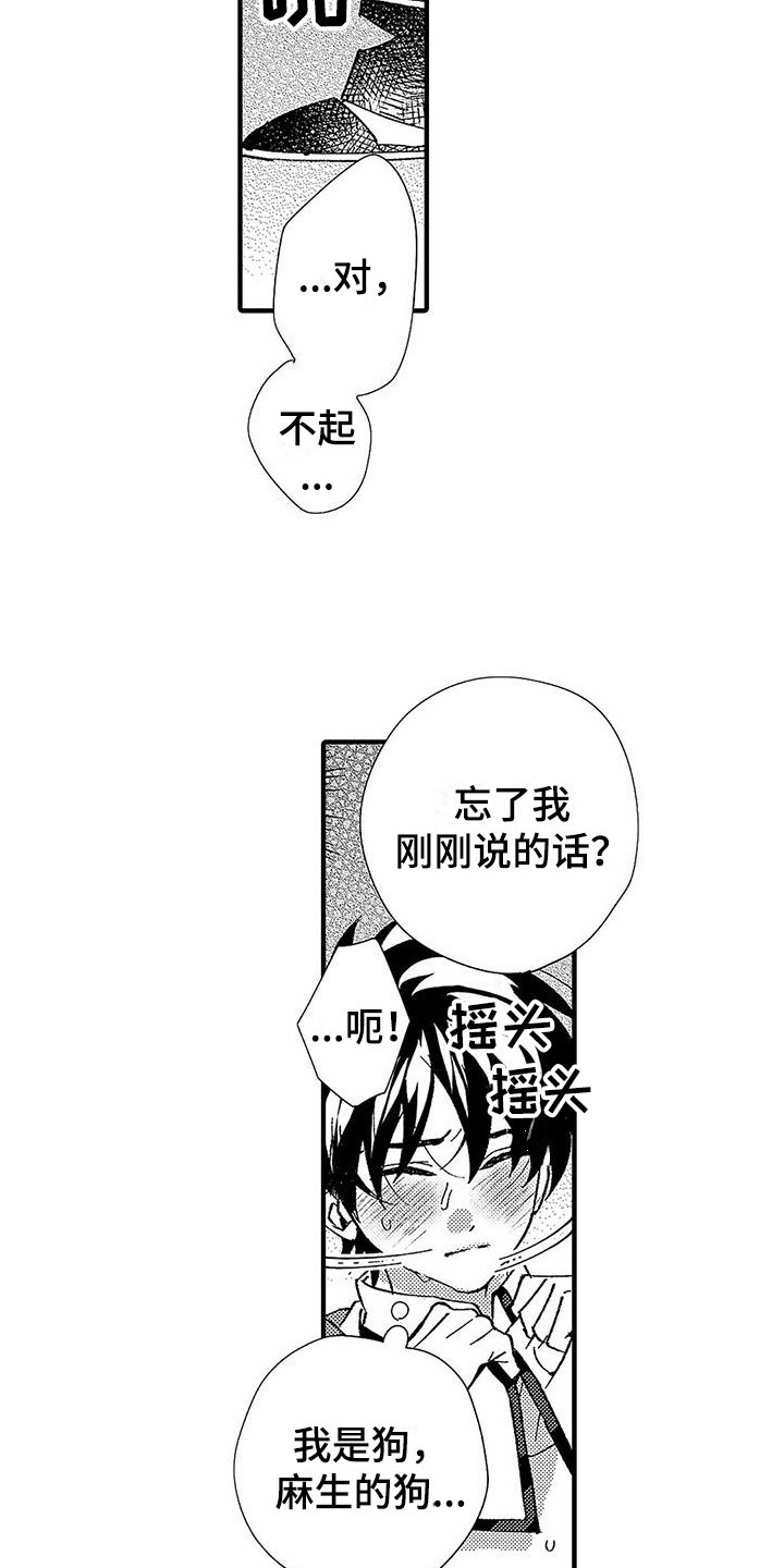 第13章：安全词18